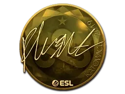 Skin's image