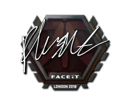 Skin's image