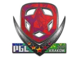 Skin's image