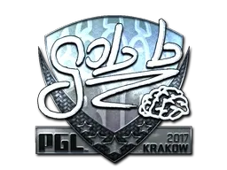 Skin's image