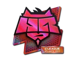 Skin's image