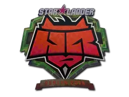 Skin's image