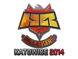 Skin's image