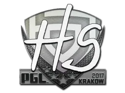Skin's image