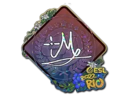 Skin's image