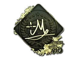 Skin's image