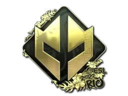 Skin's image