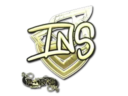 Skin's image