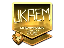 Skin's image