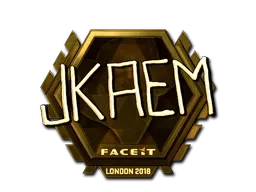 Skin's image
