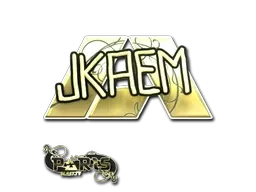 Skin's image