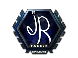 Skin's image