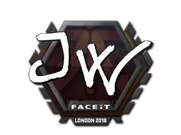 Skin's image