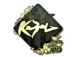 Skin's image
