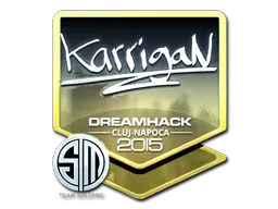 Skin's image