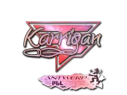 Skin's image