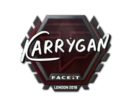 Skin's image