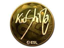 Skin's image