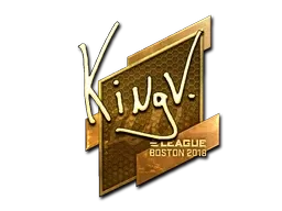 Skin's image