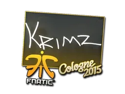 Skin's image