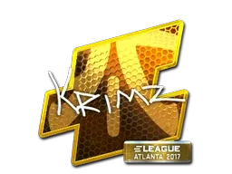 Skin's image