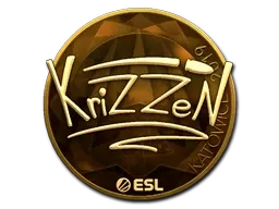 Skin's image