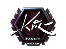 Skin's image
