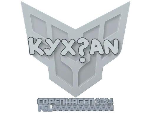 Skin's image