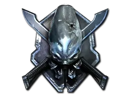 Skin's image