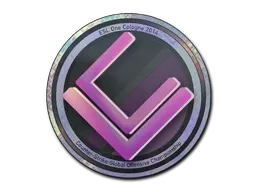 Skin's image