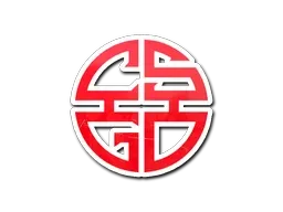 Skin's image