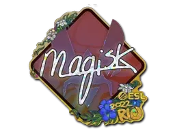 Skin's image