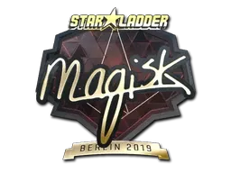 Skin's image
