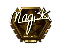 Skin's image