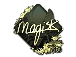 Skin's image