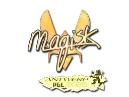 Skin's image