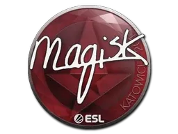 Skin's image