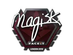 Skin's image