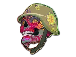 Skin's image