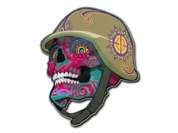 Skin's image