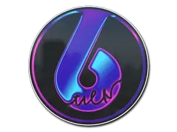 Skin's image