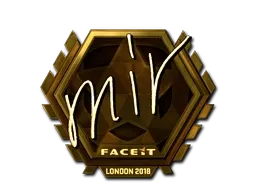 Skin's image