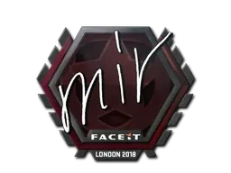 Skin's image