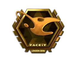 Skin's image