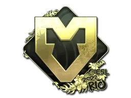 Skin's image
