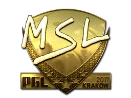 Skin's image