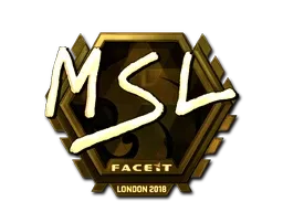 Skin's image