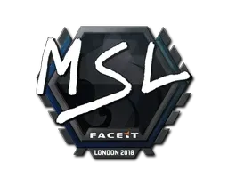 Skin's image