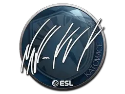 Skin's image