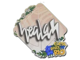 Skin's image